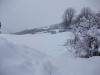 neige le 11 février 2010